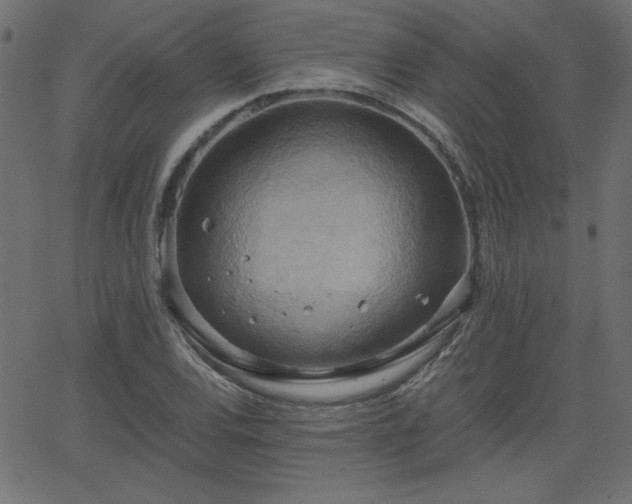 X0000068751120200605010929
