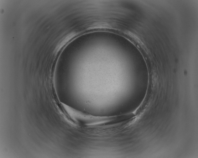 X0000068751129200605010929