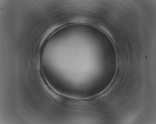 X0000068751131200605010929