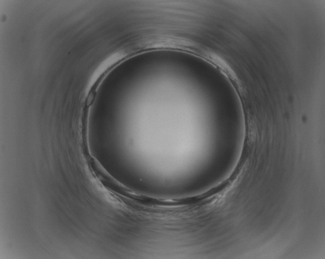 X0000068751138200605010929