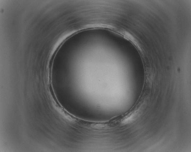 X0000068751140200605010929