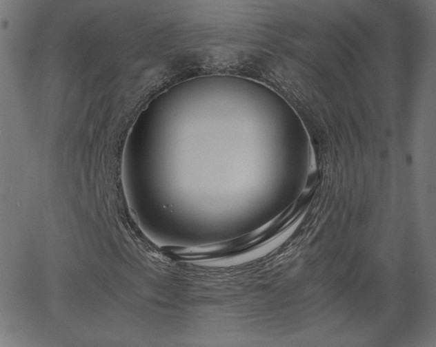 X0000068751153200605010929