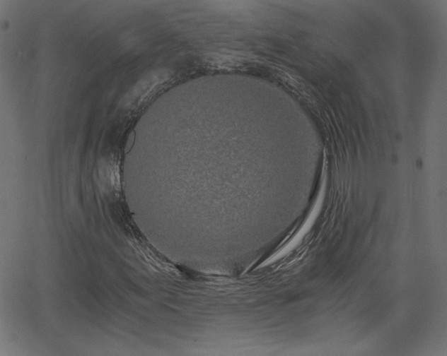 X0000068751155200605010929