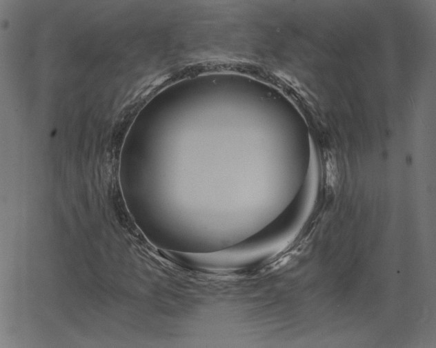 X0000068751157200605010929