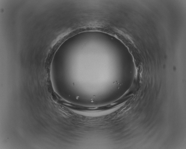 X0000068751160200605010929