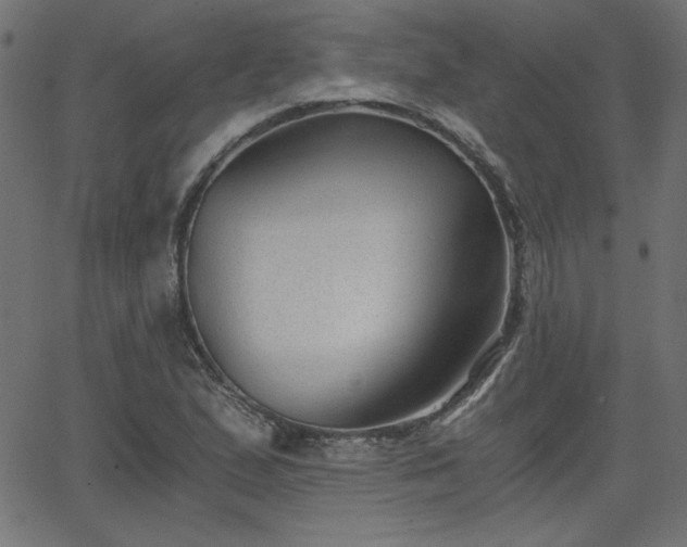 X0000068751167200605010929