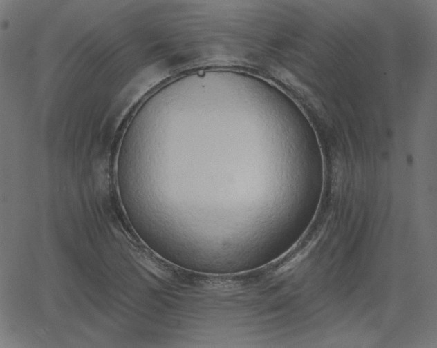 X0000068751170200605010929