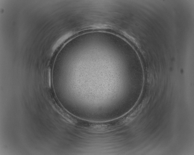 X0000068751171200605010929