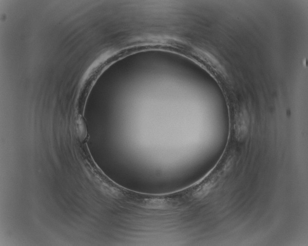 X0000068751172200605010928