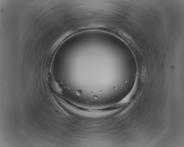 X0000068751177200605010928