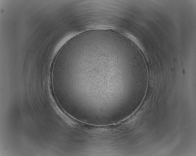 X0000068751187200605010928