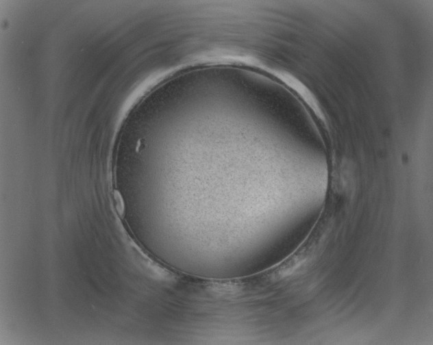 X0000068751191200605010928