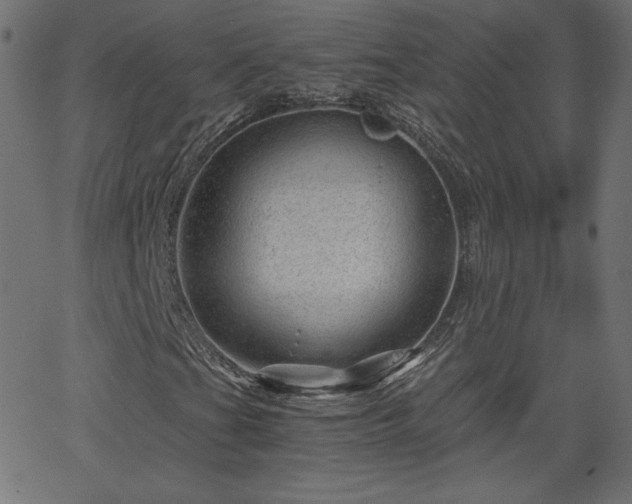 X0000068751201200605010927