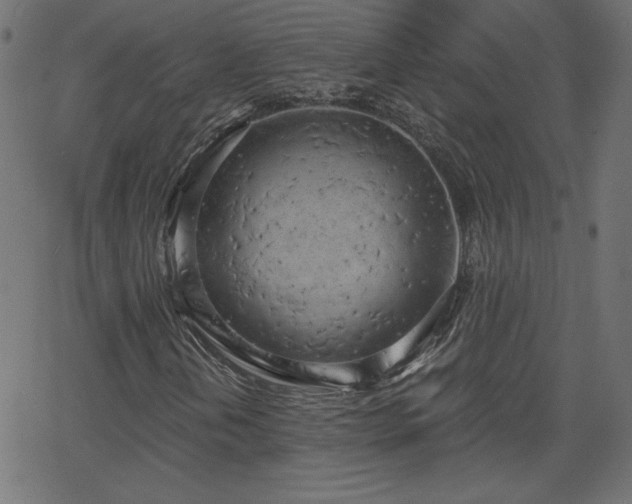 X0000068751202200605010927