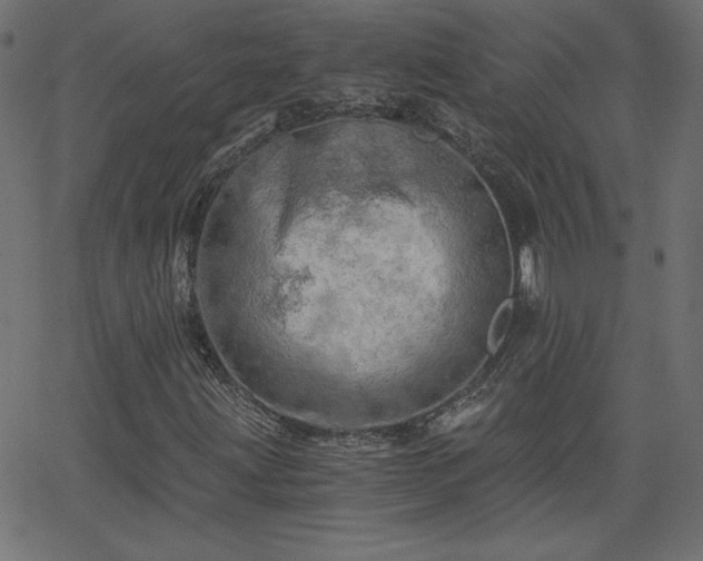 X0000068751203200605010927