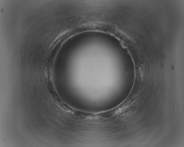 X0000068751206200605010927