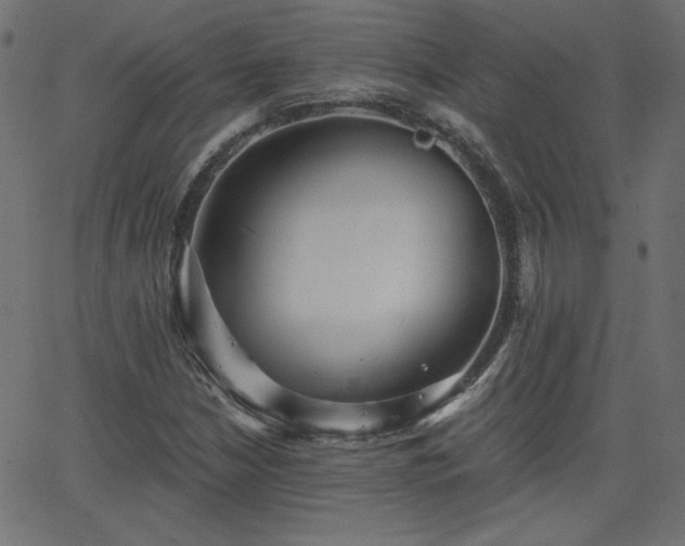X0000068751210200605010927