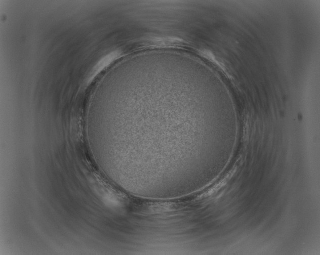 X0000068751211200605010927