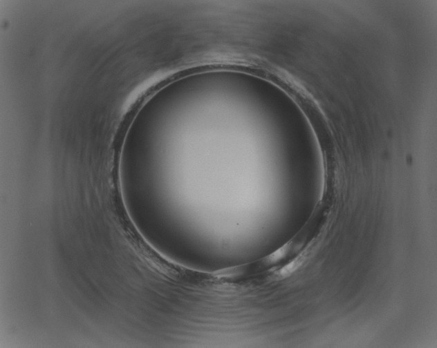 X0000068751222200605010928