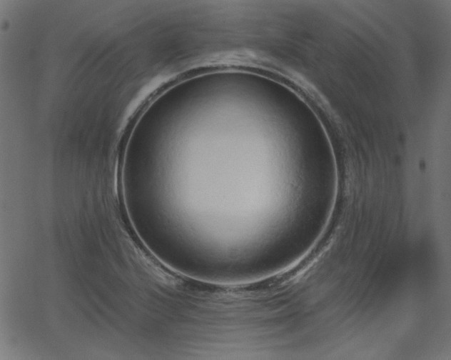 X0000068751224200605010928