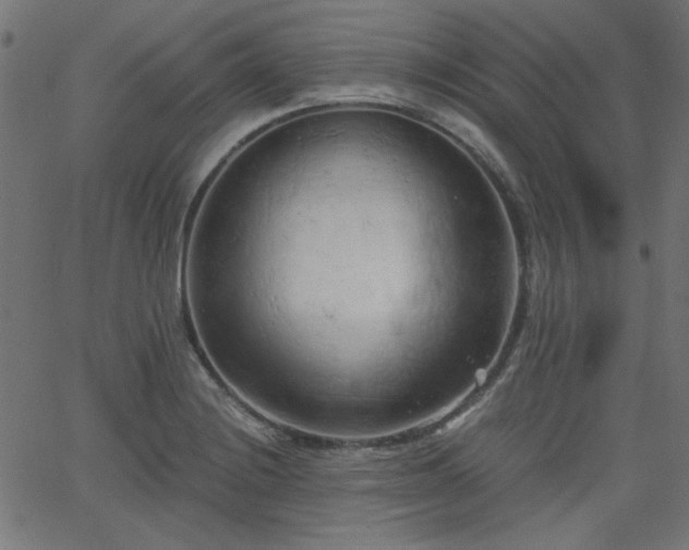 X0000068751228200605010928