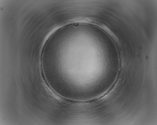 X0000068751240200605010928