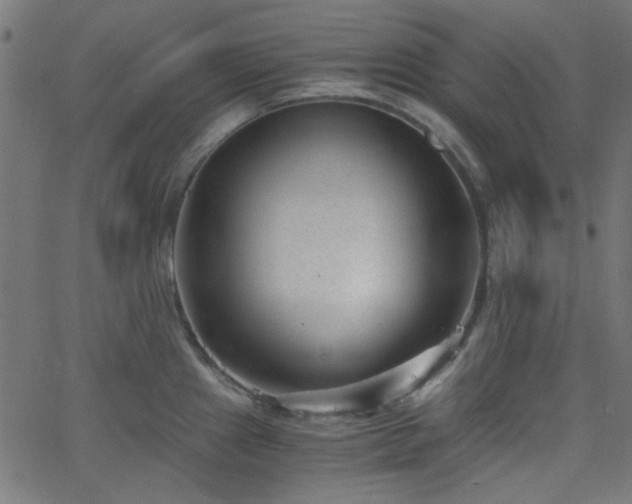 X0000068751241200605010928