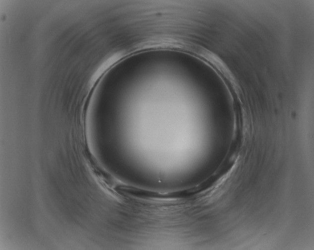 X0000068751242200605010928