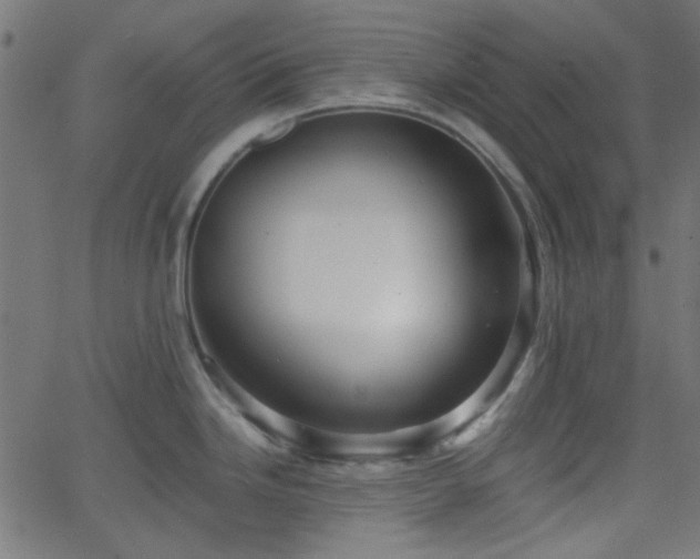X0000068751246200605010928