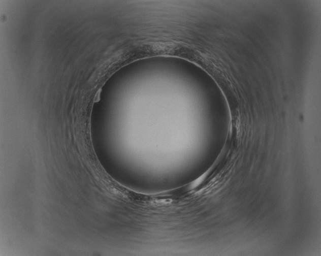 X0000068751249200605010927