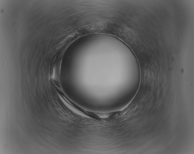 X0000068751250200605010927