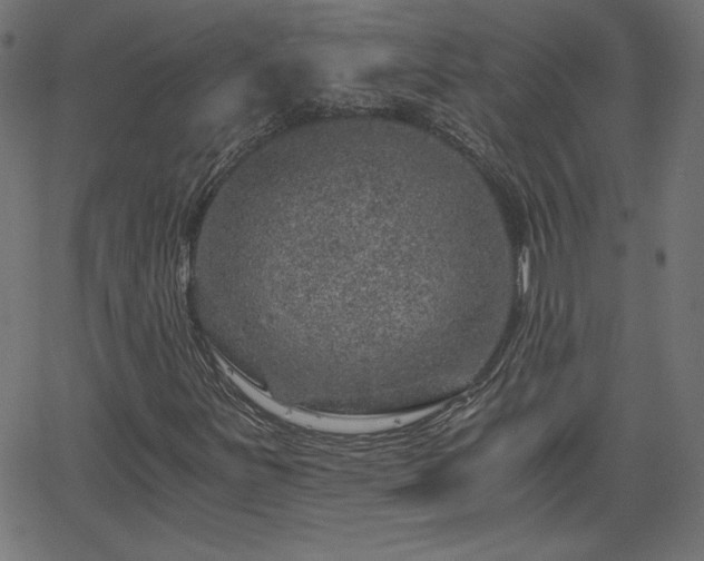 X0000068751251200605010927