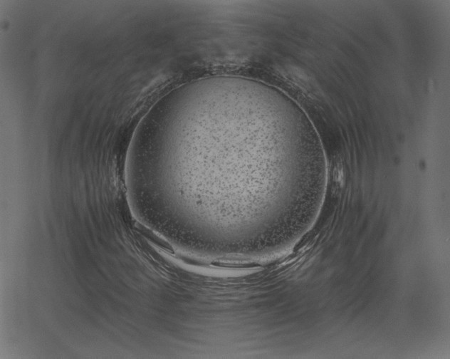 X0000068751252200605010927