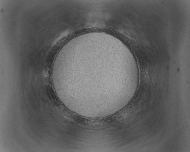 X0000068751254200605010927