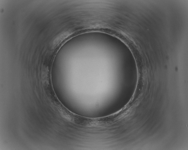 X0000068751265200605010927