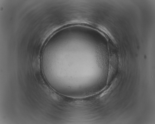 X0000068751268200605010927