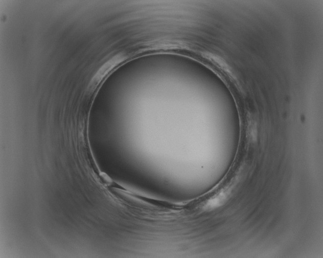 X0000068751273200605010927