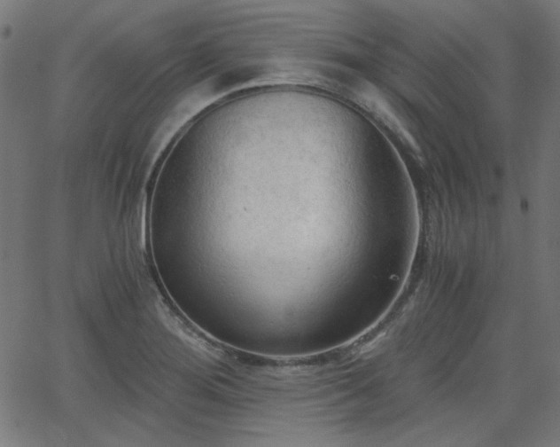 X0000068751276200605010927