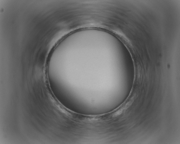 X0000068751278200605010927