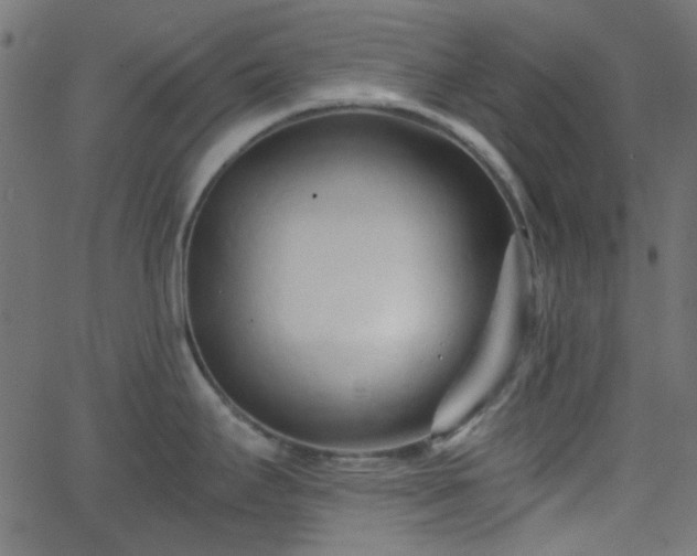 X0000068751295200605010926