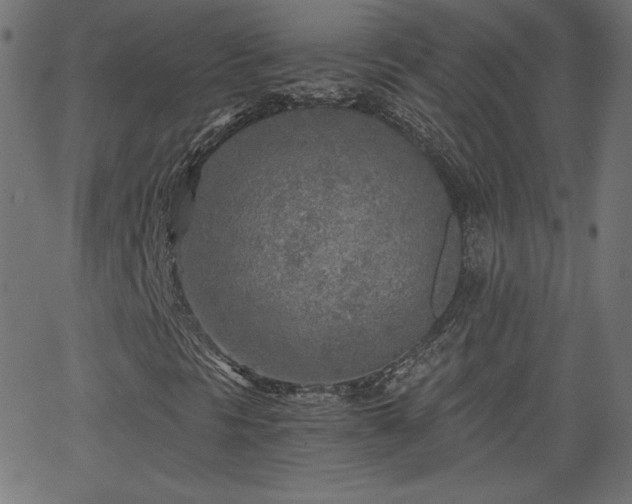 X0000068751297200605010926