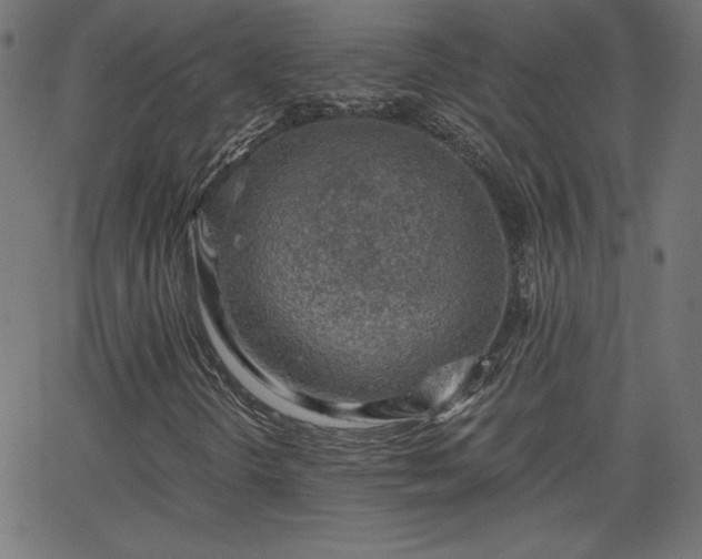 X0000068751298200605010926