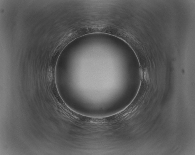 X0000068751299200605010926