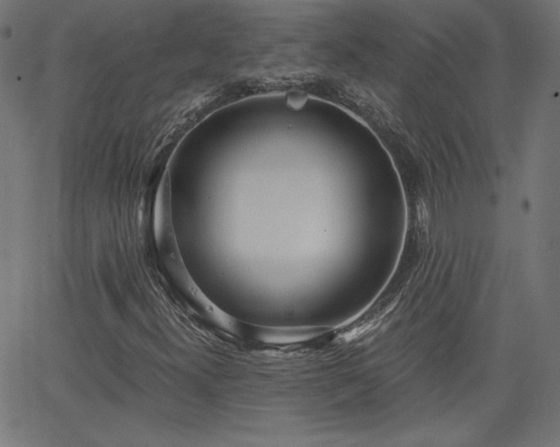 X0000068751300200605010926