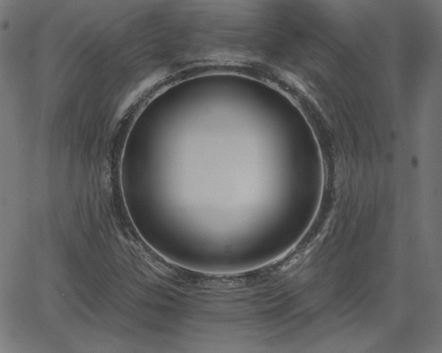 X0000068751307200605010926