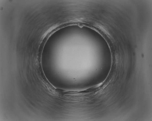 X0000068751308200605010926