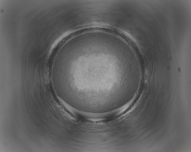 X0000068751310200605010926