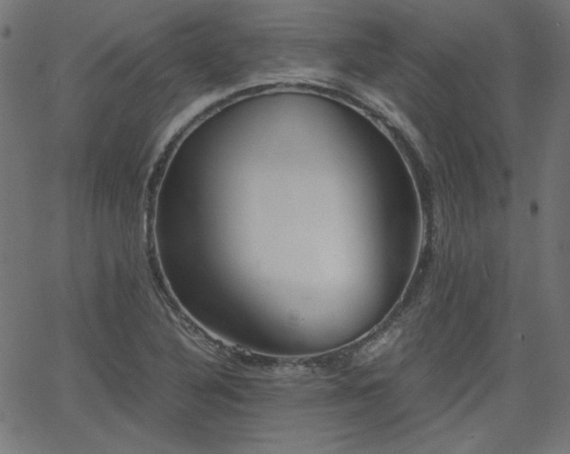 X0000068751316200605010926