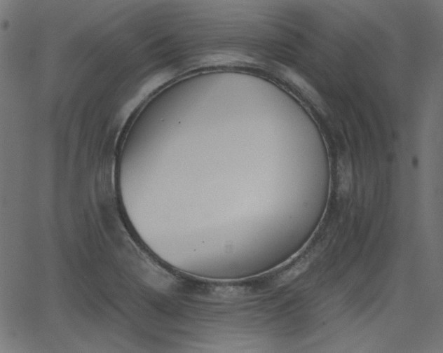 X0000068751322200605010926