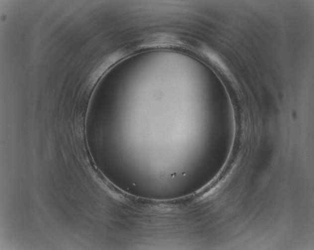 X0000068751329200605010926